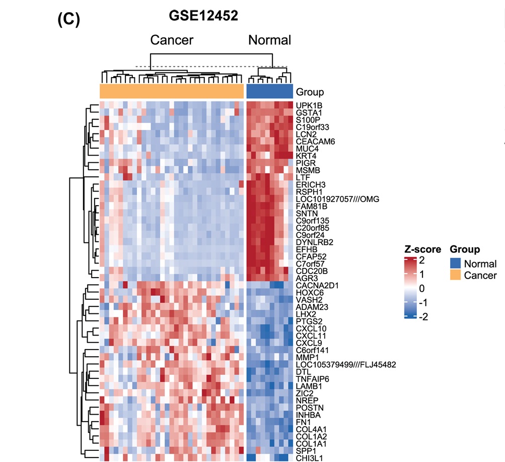 Our Research Group Publishes Study on an 11-Gene Panel for Nasopharyngeal Cancer Diagnosis and Prognosis
